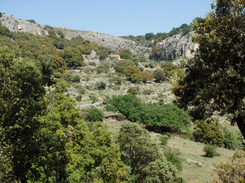 A view north, up canyon.
